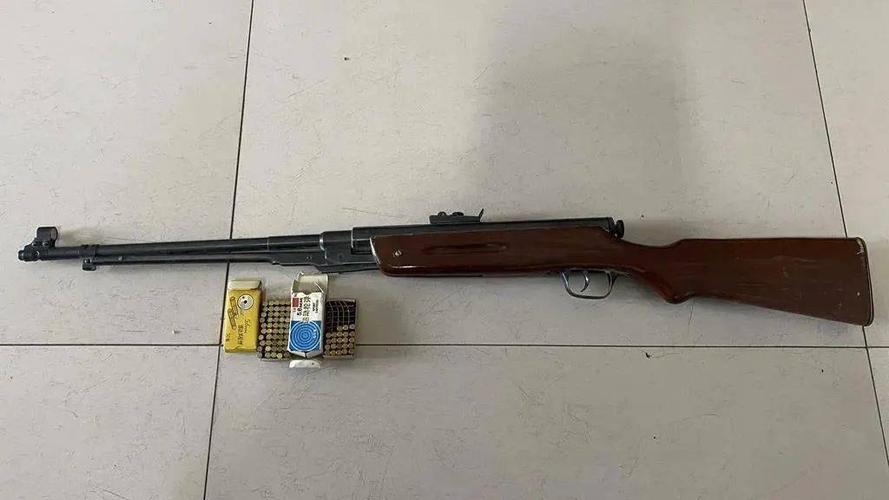 据了解,乔某在父亲家中整理遗物时,发现一把气枪和两盒口径枪子弹,正