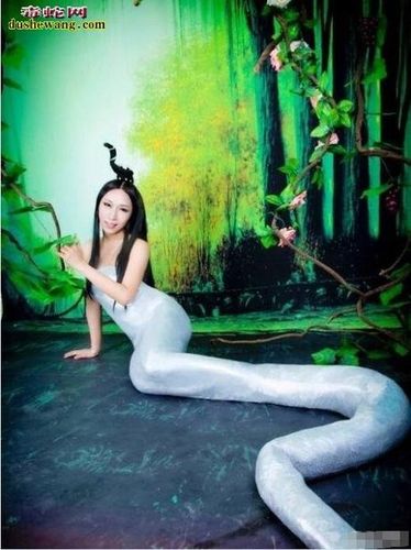 美女蛇图片