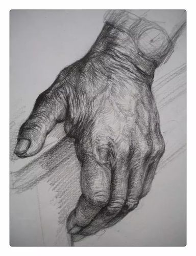 素描手势的细致刻画70张