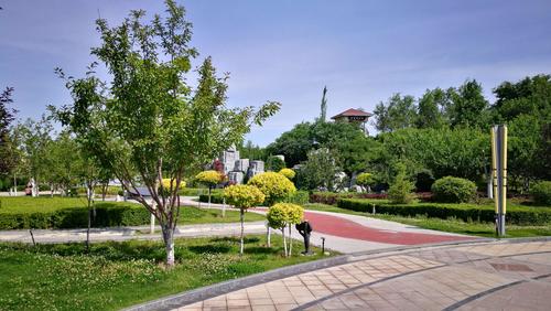 乌鲁木齐雅山森林公园