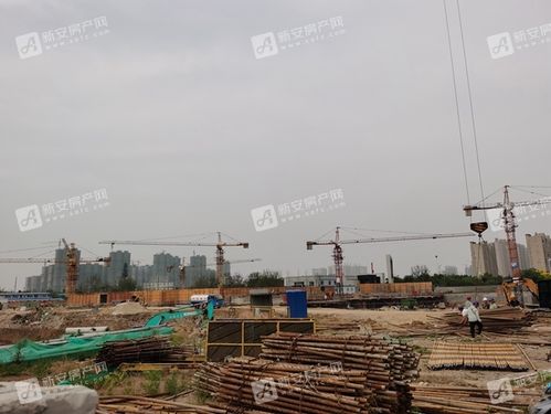 帝景绿岸阳光5月工程进度:15#16#楼目前建至第9层