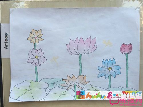 漂亮的儿童画作品图片,夏日荷花