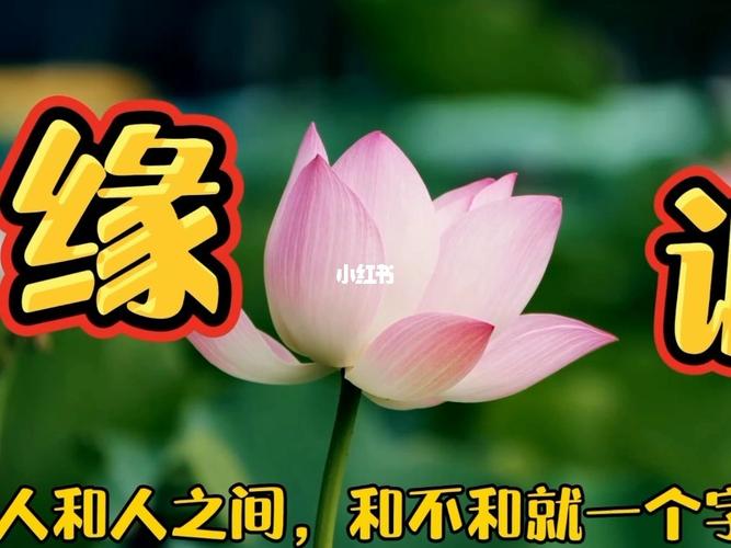 人和人,和不和,就看一个"缘"字_人生感悟_情感_励志