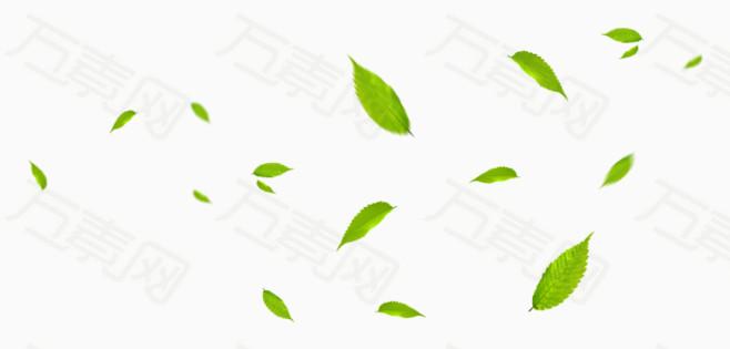 免抠元素 微风中飘浮绿叶图片素材详细参数: 编号8571 分类漂浮元素