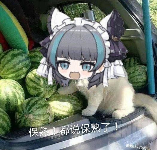 [分享] 从群里收来的柴郡猫猫表情包分享给大家