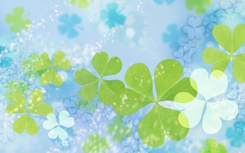 com 鲜花背景壁纸1920x1200(第3张) bizhicool.com