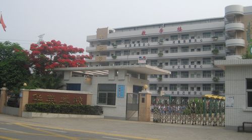 深圳罗湖华英学校