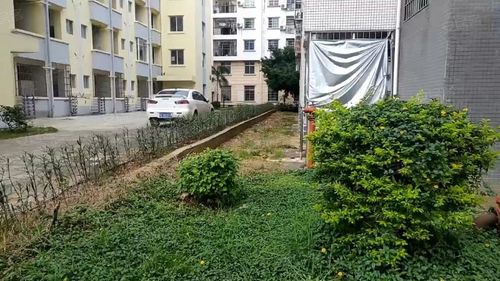 嘉逸花园,北部湾西路99号-北海嘉逸花园二手房,租房