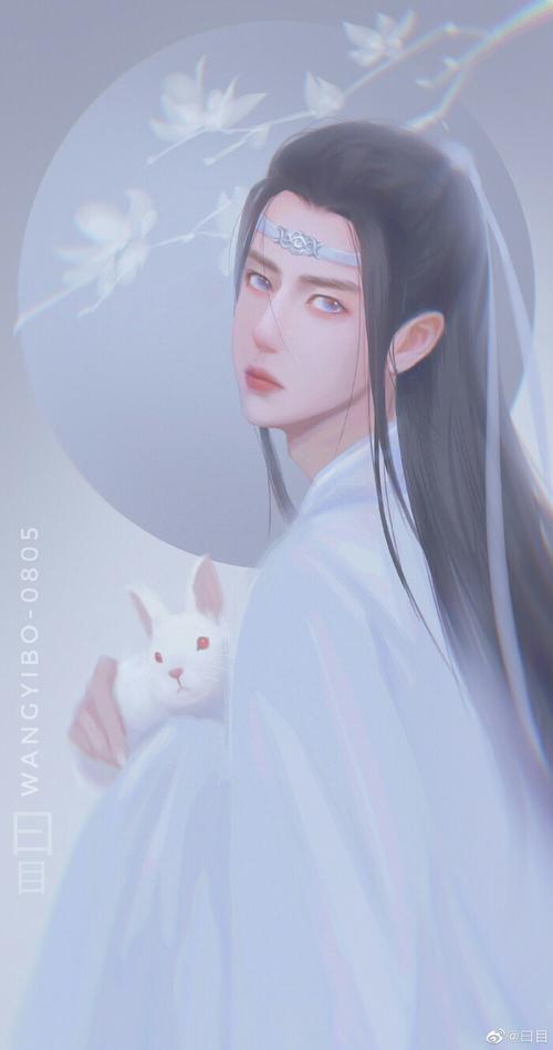 蓝湛- 堆糖,美图壁纸兴趣社区