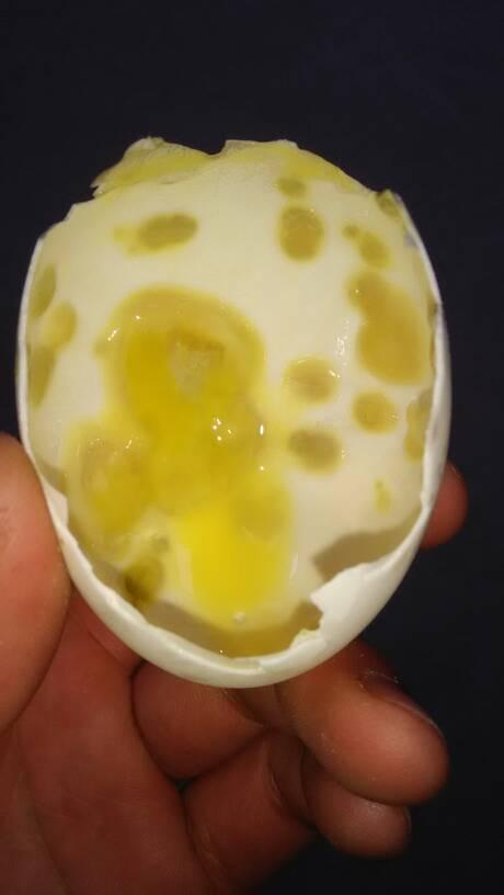 鸭蛋孵化过程中,蛋黄蛋清混成糊状,蛋壳内壁出现黄色附着物,这是怎么