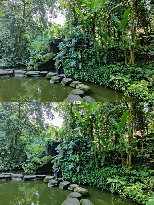 厦门园林植物园自由行热门攻略_园林_风景_滤镜_手机_华为怎么样_出行