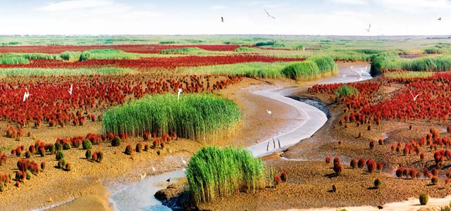 择一旅行提供:暑假10个东营旅游的超值景区!