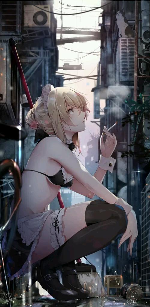 《黑化saber》 泳装 女仆装saber
