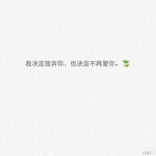 我决定放弃你,也决定不再爱你