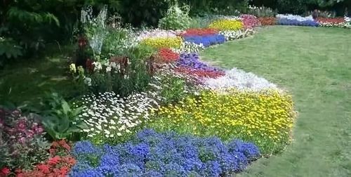 追完了延禧攻略,该追植物的色彩攻略啦!