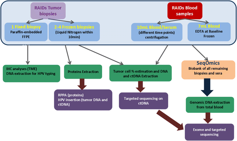 from prospective biobanking to precision medicine