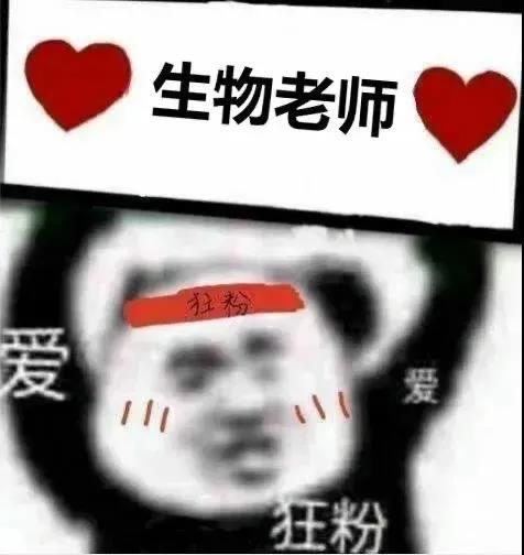 暴漫熊猫头生物老师打call搞怪沙雕gif动图_动态图_包