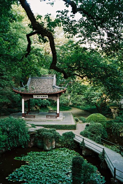 孤山寺北贾亭西,水面初平云脚低-烈影志摄影事务所