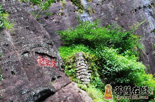 武夷山天心永乐禅寺