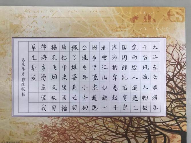 【墨香城东】第十五届体育艺术节规范汉字书写大赛圆满结束