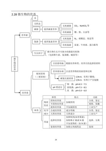高中生物知识结构网络图完整版资料