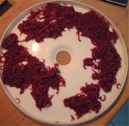 四川红线虫成都红线虫