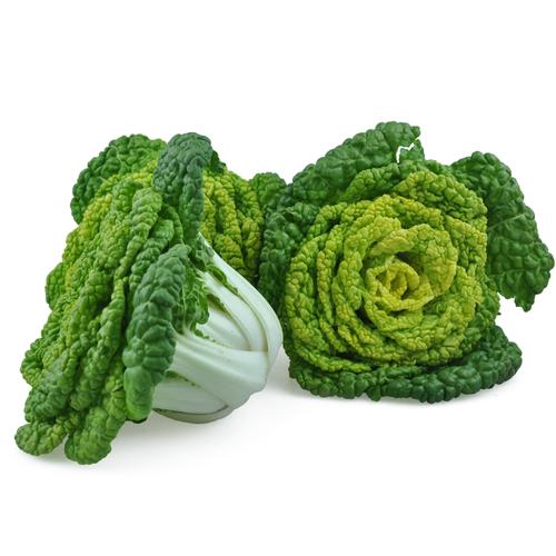 黄心菜新鲜蔬菜黄心乌卷心菜菊花菜乌塌青菜农家青菜10斤