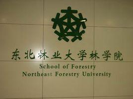 东北林业大学林学院
