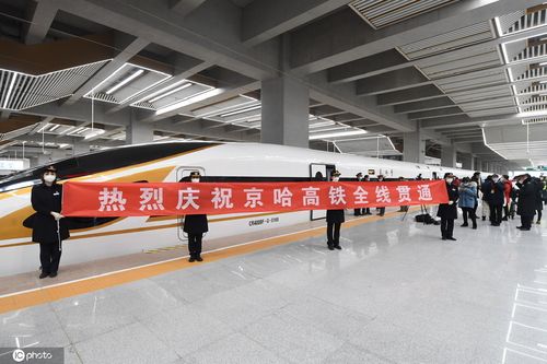 京哈高铁今天全线开通运营