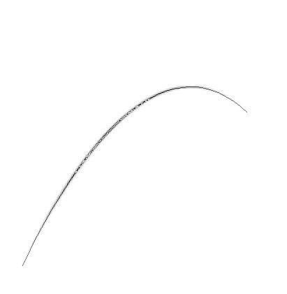 类似一根头发的 头像