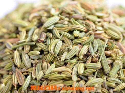 大茴香和小茴香的区别大茴香的功效