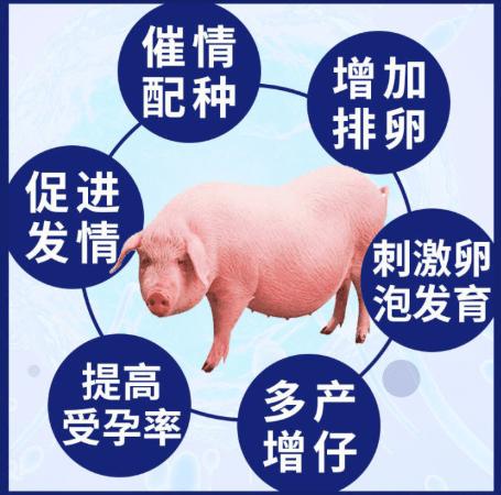 说一说饮水机投"猪激素"这事