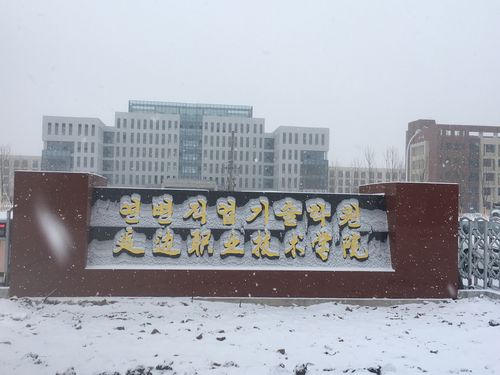 延边职业技术学院蔡老师讲高职(3)