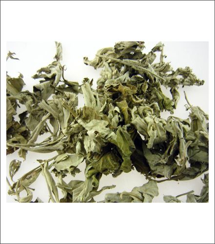 产品展示_湖南世东医药有限公司