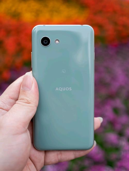 最后的日系小屏旗舰手机夏普aquosr2compact