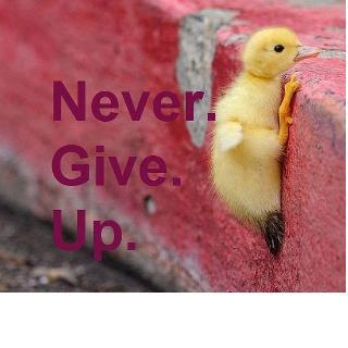 giveup用法giveitup用法