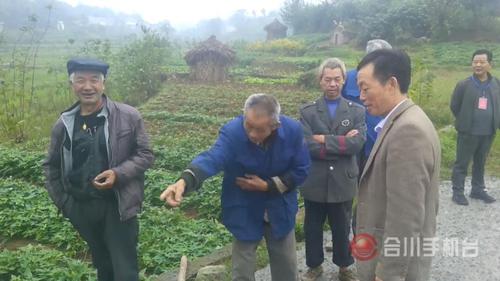 合川香龙镇:人大代表督促协调 修路纠纷得解决