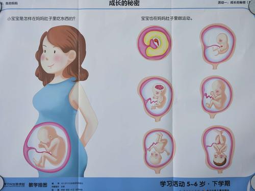 3,能通过自己收集的资料,大胆说说我从哪里来.