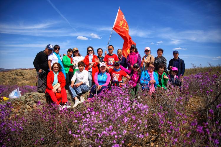 杜鹃山上花争艳