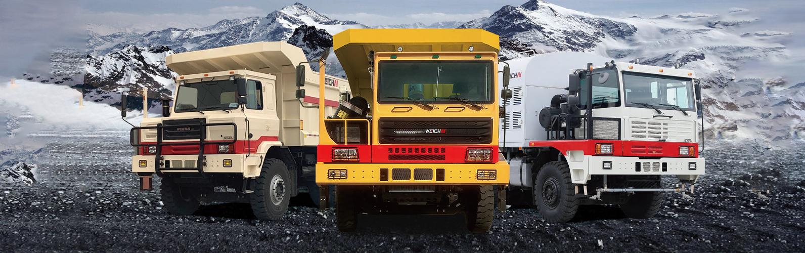 潍柴(扬州)特种车有限公司