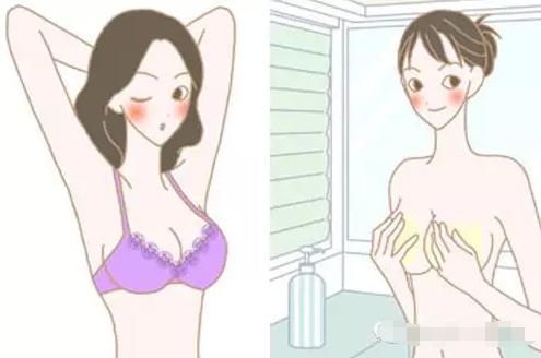 顺便说一下,为什么有些人的乳房会比较软,而有些的比较硬呢?