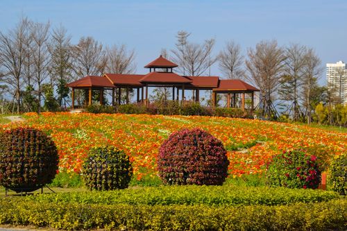 厦门园博苑海洋岛四季花海