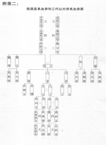 我国 直系血亲和三代以内旁系血亲图