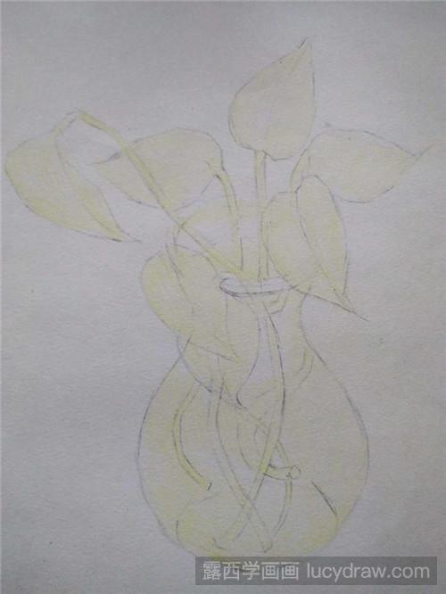 彩铅画绿萝的画法-露西学画画