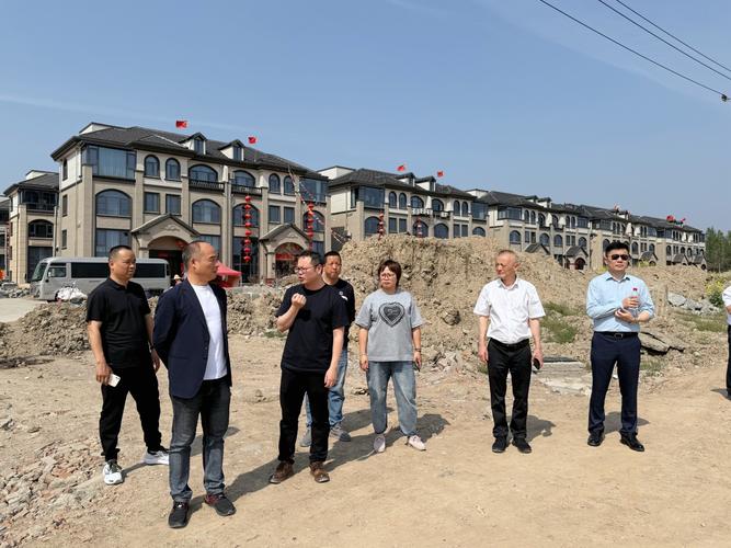 "农村村庄规划建设提升"项目马桥街道监督小组座谈会