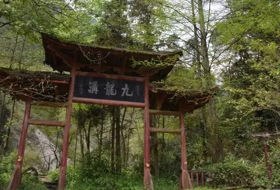 秋老虎避暑不去青城山上九龙沟一样清凉