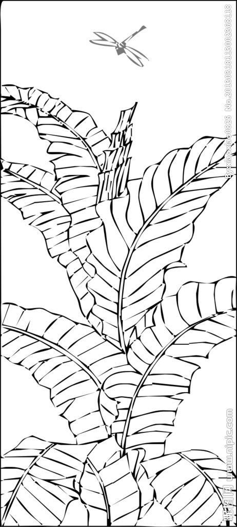 芭蕉叶芭蕉叶简笔画