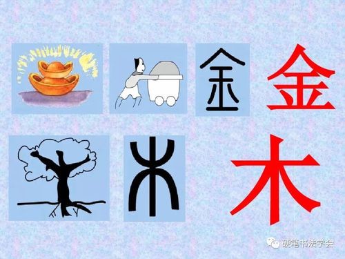 常见的80个象形字,让孩子轻松爱上书法!