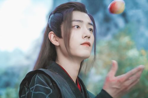 陈情令|魏无羡 - 堆糖,美图壁纸兴趣社区