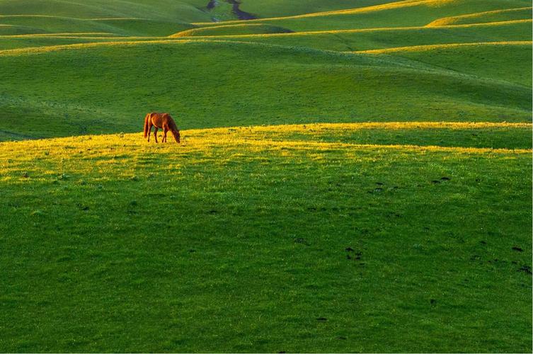 摄影基础一一构图中的点